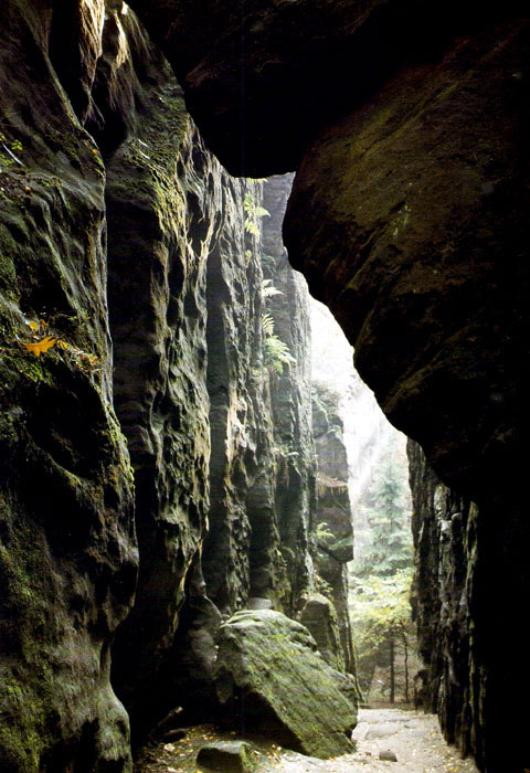 Скалистая расщелина Фортна
