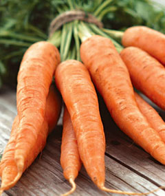 Морковь огородная