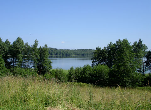 Озера Костромы
