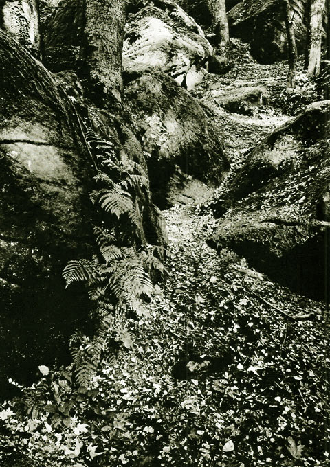 Горная тропа в Праховских скалах Старинное фото