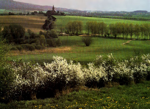 Либуньский пейзаж со стороны Тросек