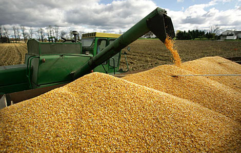Заготовка кукурузы