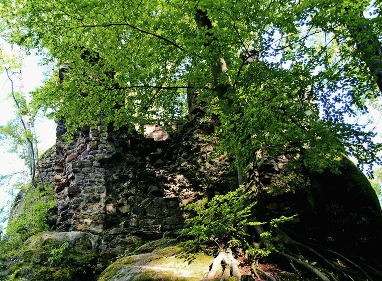 Руины замка Паржез